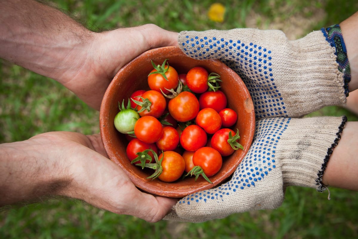 Lessons From the Early Church: Sermons & Generosity